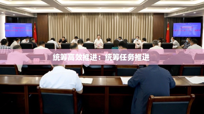 统筹高效推进：统筹任务推进 