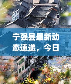 宁强县最新动态速递，今日热点消息一网打尽