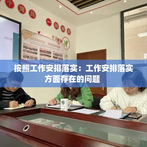 按照工作安排落实：工作安排落实方面存在的问题 
