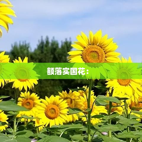螓首蛾眉 第2页