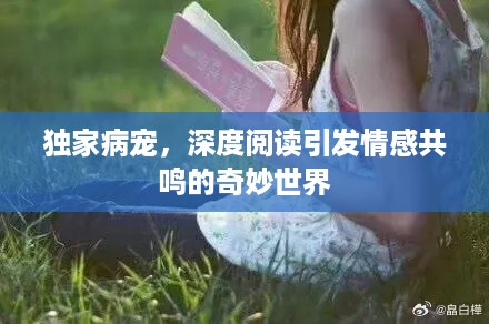 独家病宠，深度阅读引发情感共鸣的奇妙世界