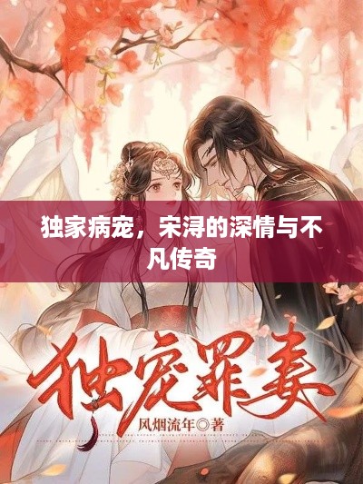 独家病宠，宋浔的深情与不凡传奇