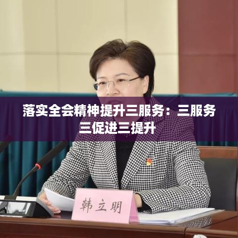 落实全会精神提升三服务：三服务三促进三提升 