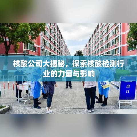 核酸公司大揭秘，探索核酸检测行业的力量与影响