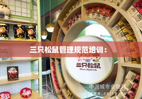 三只松鼠管理规范培训： 