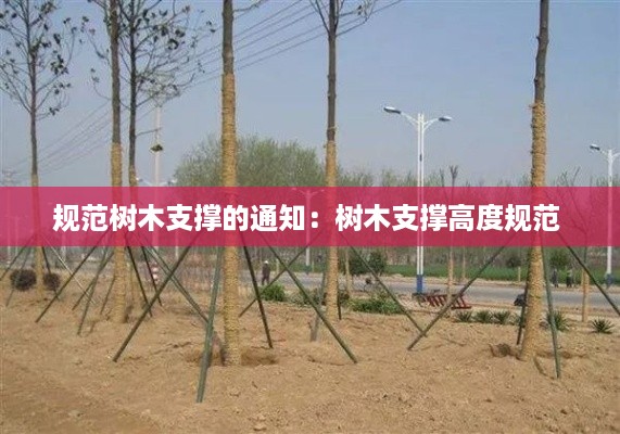 规范树木支撑的通知：树木支撑高度规范 