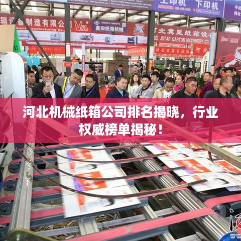 河北机械纸箱公司排名揭晓，行业权威榜单揭秘！