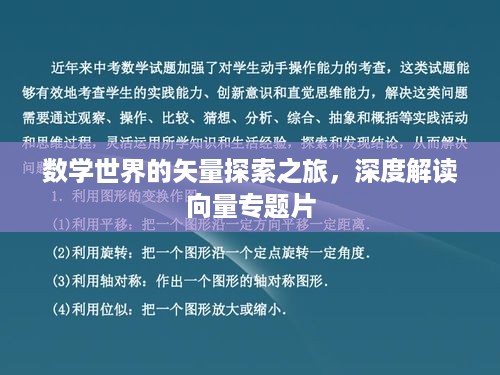 数学世界的矢量探索之旅，深度解读向量专题片