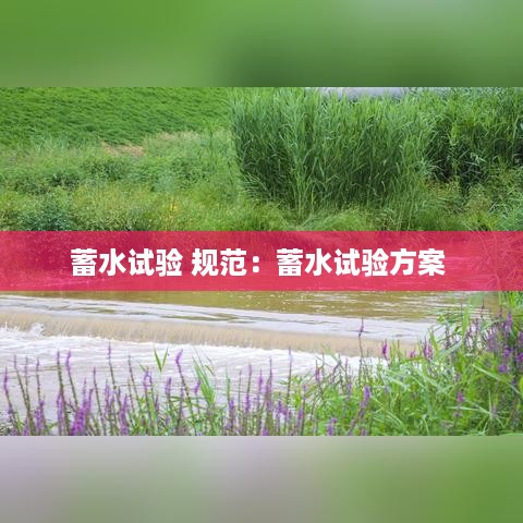 公证管理 第194页