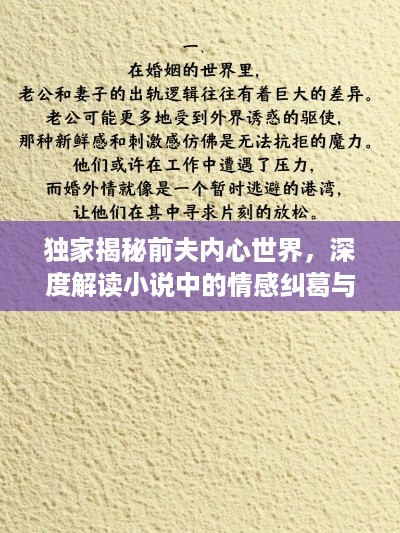 独家揭秘前夫内心世界，深度解读小说中的情感纠葛与成长历程