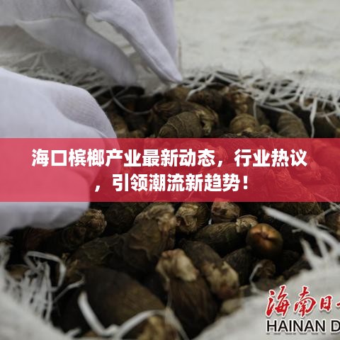海口槟榔产业最新动态，行业热议，引领潮流新趋势！