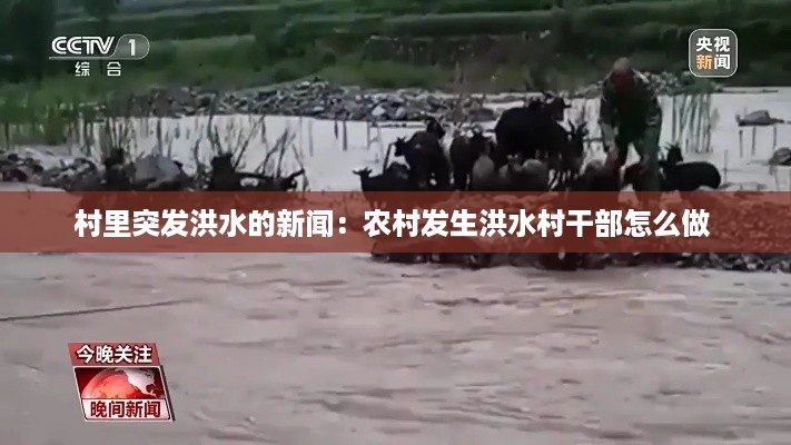 村里突发洪水的新闻：农村发生洪水村干部怎么做 