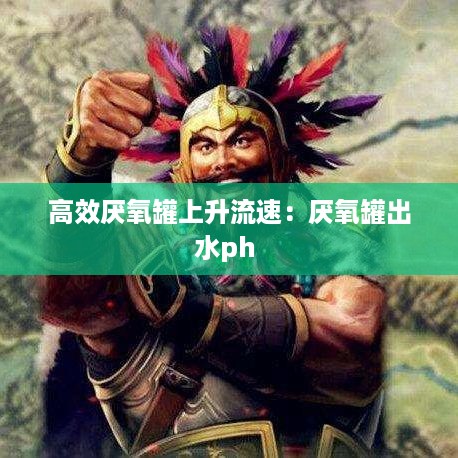 高效厌氧罐上升流速：厌氧罐出水ph 