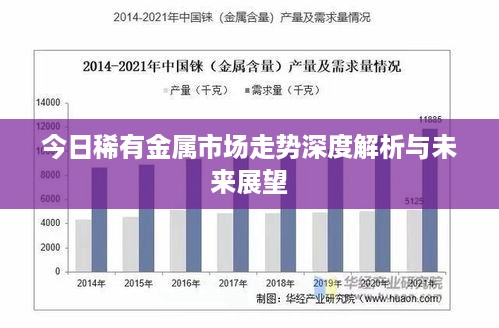 今日稀有金属市场走势深度解析与未来展望