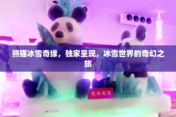 熊猫冰雪奇缘，独家呈现，冰雪世界的奇幻之旅