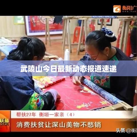 武陵山今日最新动态报道速递