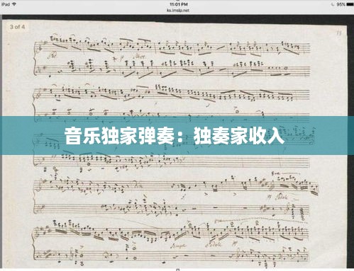 音乐独家弹奏：独奏家收入 