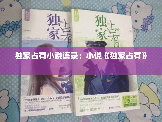 独家占有小说语录：小说《独家占有》 