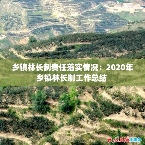乡镇林长制责任落实情况：2020年乡镇林长制工作总结 