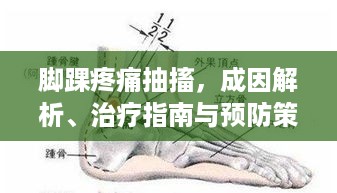 脚踝疼痛抽搐，成因解析、治疗指南与预防策略