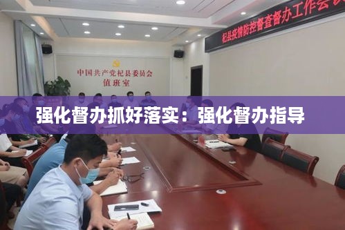 强化督办抓好落实：强化督办指导 
