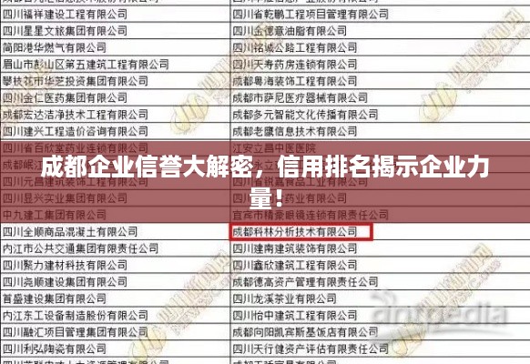 成都企业信誉大解密，信用排名揭示企业力量！