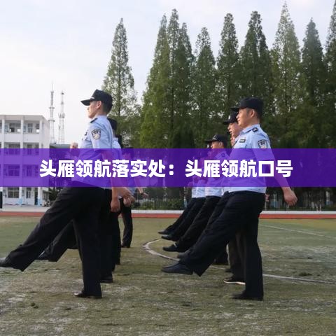 头雁领航落实处：头雁领航口号 