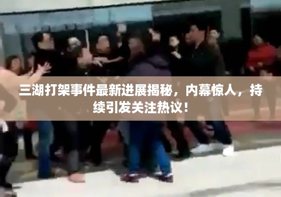 三湖打架事件最新进展揭秘，内幕惊人，持续引发关注热议！