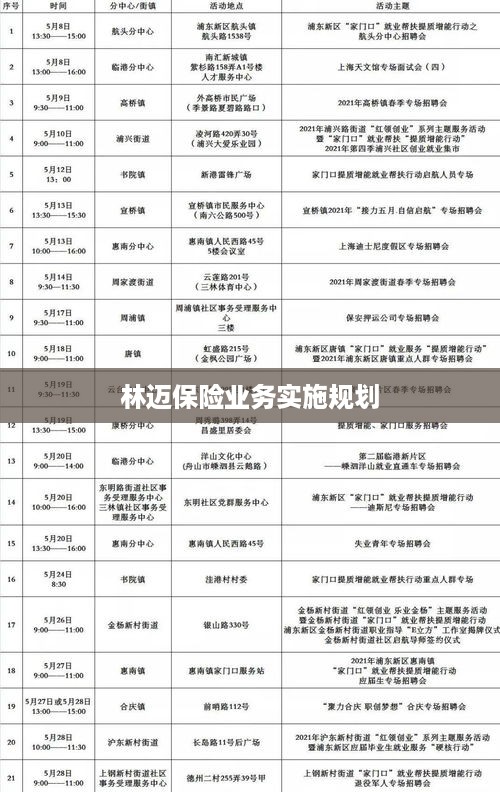 林迈保险业务实施规划