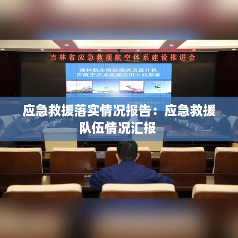 应急救援落实情况报告：应急救援队伍情况汇报 