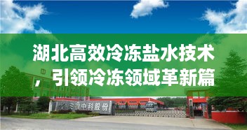 湖北高效冷冻盐水技术，引领冷冻领域革新篇章