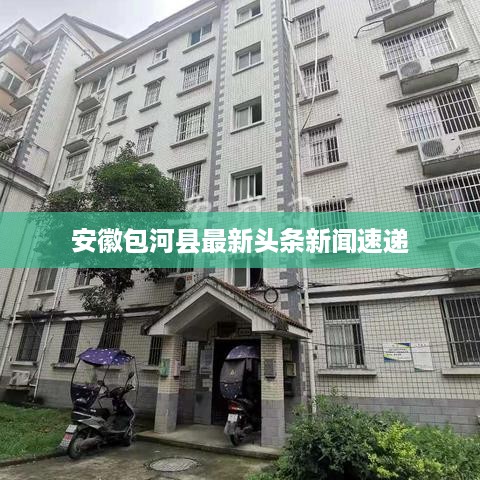 安徽包河县最新头条新闻速递