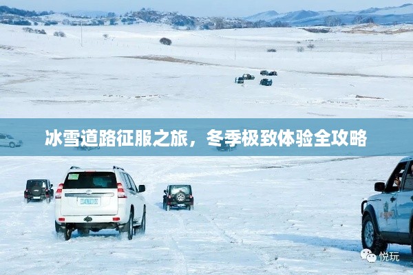 冰雪道路征服之旅，冬季极致体验全攻略