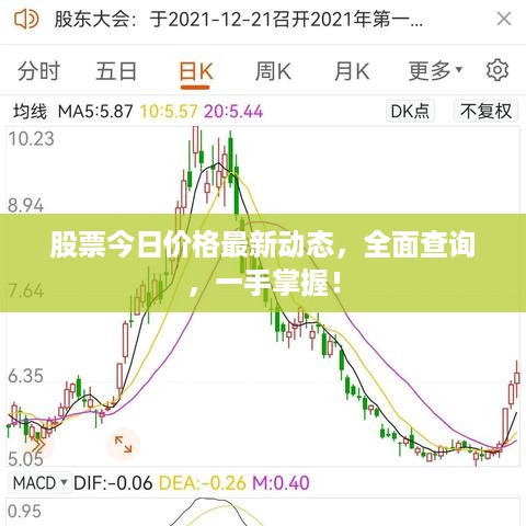 股票今日价格最新动态，全面查询，一手掌握！