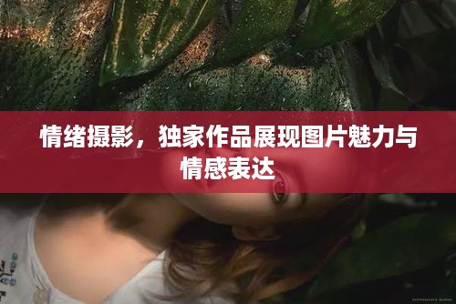 情绪摄影，独家作品展现图片魅力与情感表达