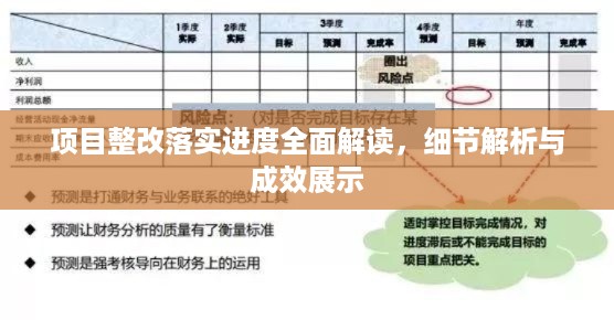 项目整改落实进度全面解读，细节解析与成效展示