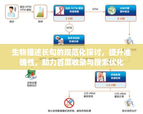 生物描述长句的规范化探讨，提升准确性，助力百度收录与搜索优化