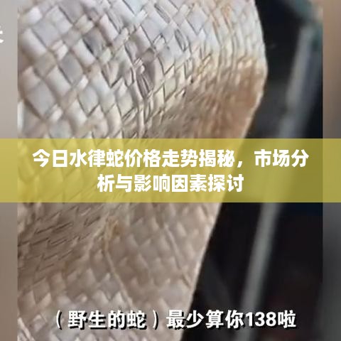 今日水律蛇价格走势揭秘，市场分析与影响因素探讨