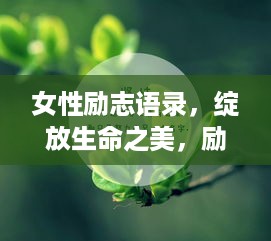 女性励志语录，绽放生命之美，励志前行