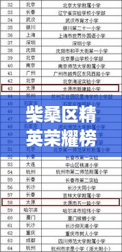 柴桑区精英荣耀榜单揭秘，十大杰出人物排名及风采展示