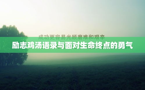 励志鸡汤语录与面对生命终点的勇气