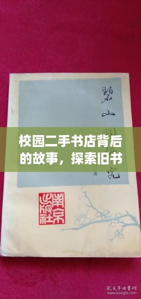 校园二手书店背后的故事，探索旧书的流转与新生