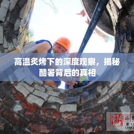 高温炙烤下的深度观察，揭秘酷暑背后的真相