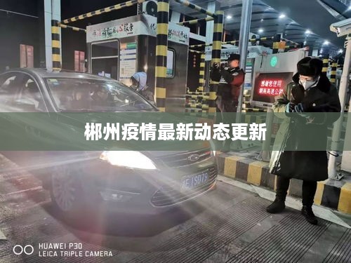 郴州疫情最新动态更新