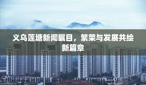 义乌莲塘新闻瞩目，繁荣与发展共绘新篇章