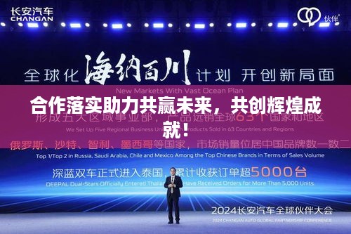 合作落实助力共赢未来，共创辉煌成就！