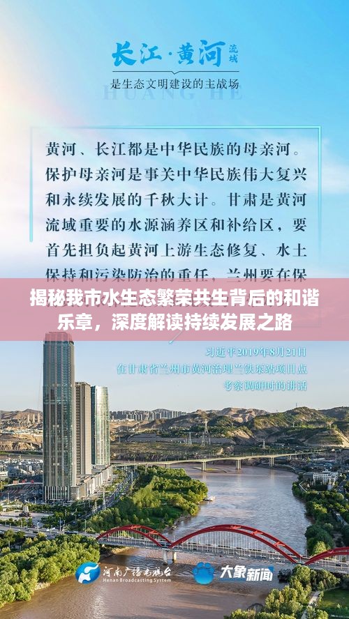 揭秘我市水生态繁荣共生背后的和谐乐章，深度解读持续发展之路