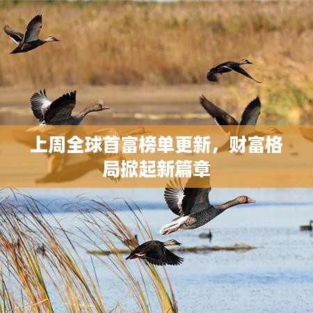 上周全球首富榜单更新，财富格局掀起新篇章