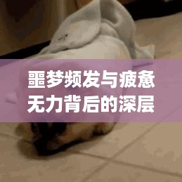 噩梦频发与疲惫无力背后的深层原因揭秘