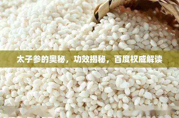 太子参的奥秘，功效揭秘，百度权威解读